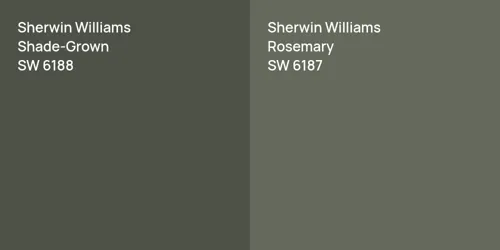 SW 6188 Shade-Grown vs SW 6187 Rosemary