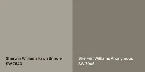 SW 7640 Fawn Brindle vs SW 7046 Anonymous