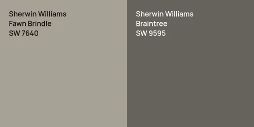 SW 7640 Fawn Brindle vs SW 9595 Braintree