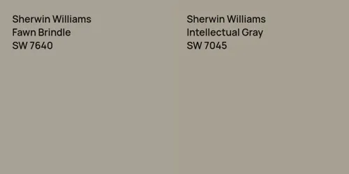 SW 7640 Fawn Brindle vs SW 7045 Intellectual Gray