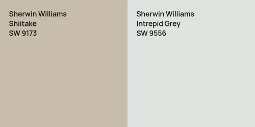 SW 9173 Shiitake vs SW 9556 Intrepid Grey