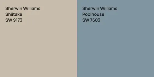 SW 9173 Shiitake vs SW 7603 Poolhouse