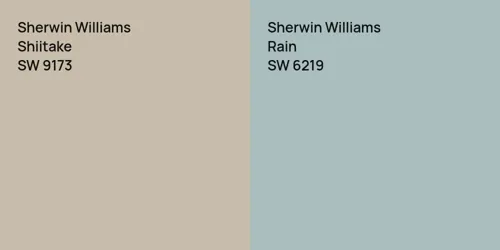 SW 9173 Shiitake vs SW 6219 Rain