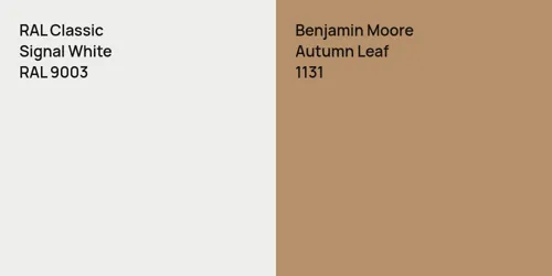 RAL 9003 Signal White vs 1131 Autumn Leaf