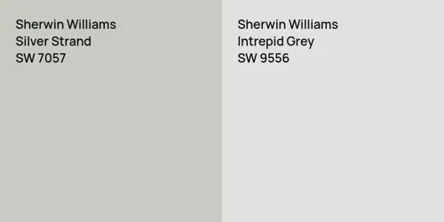 SW 7057 Silver Strand vs SW 9556 Intrepid Grey