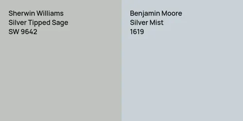 SW 9642 Silver Tipped Sage vs 1619 Silver Mist