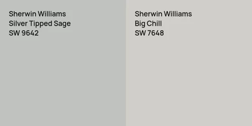 SW 9642 Silver Tipped Sage vs SW 7648 Big Chill