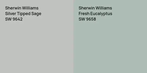 SW 9642 Silver Tipped Sage vs SW 9658 Fresh Eucalyptus