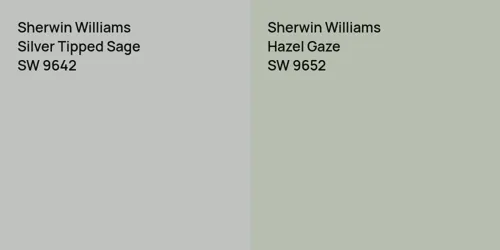 SW 9642 Silver Tipped Sage vs SW 9652 Hazel Gaze