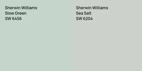 SW 6456 Slow Green vs SW 6204 Sea Salt