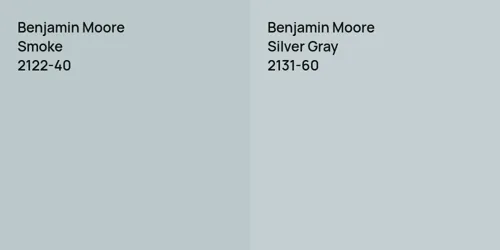 2122-40 Smoke vs 2131-60 Silver Gray