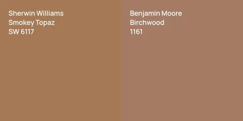 SW 6117 Smokey Topaz vs 1161 Birchwood