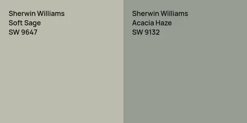 SW 9647 Soft Sage vs SW 9132 Acacia Haze