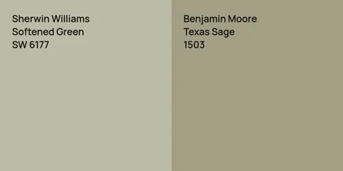 SW 6177 Softened Green vs 1503 Texas Sage