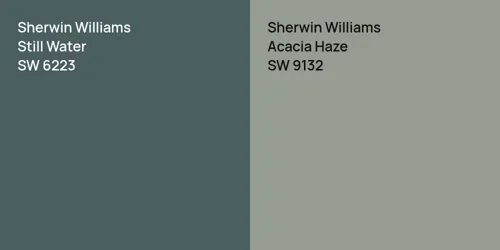 SW 6223 Still Water vs SW 9132 Acacia Haze