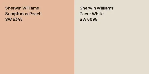 SW 6345 Sumptuous Peach vs SW 6098 Pacer White