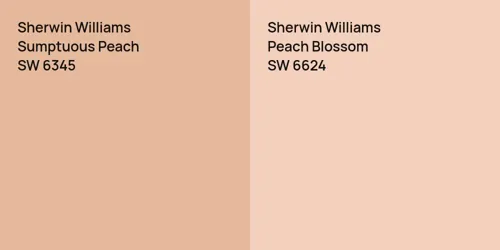 SW 6345 Sumptuous Peach vs SW 6624 Peach Blossom