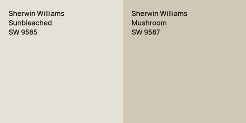 SW 9585 Sunbleached vs SW 9587 Mushroom