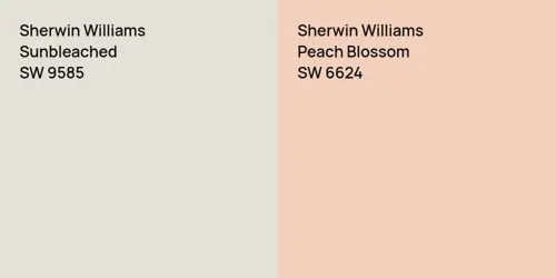 SW 9585 Sunbleached vs SW 6624 Peach Blossom