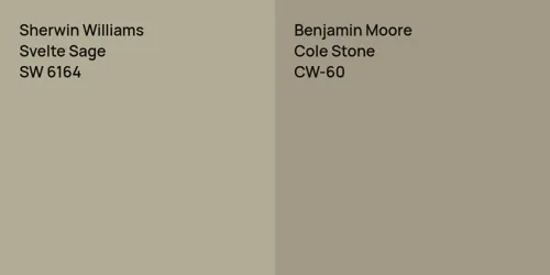 SW 6164 Svelte Sage vs CW-60 Cole Stone