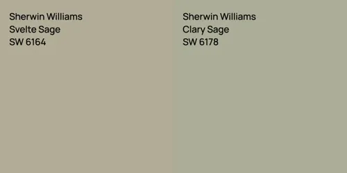 SW 6164 Svelte Sage vs SW 6178 Clary Sage