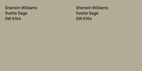 SW 6164 Svelte Sage vs SW 6164 Svelte Sage