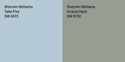 SW 6513 Take Five vs SW 9132 Acacia Haze