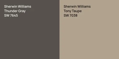 SW 7645 Thunder Gray vs SW 7038 Tony Taupe