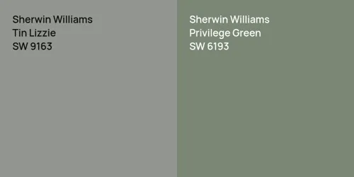 SW 9163 Tin Lizzie vs SW 6193 Privilege Green