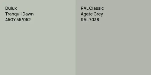 45GY 55/052 Tranquil Dawn vs RAL 7038 Agate Grey