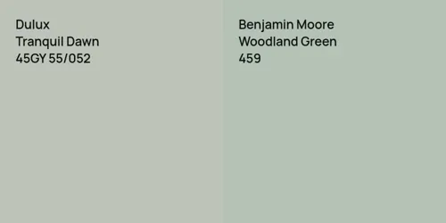 45GY 55/052 Tranquil Dawn vs 459 Woodland Green