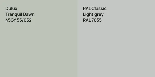 45GY 55/052 Tranquil Dawn vs RAL 7035  Light grey