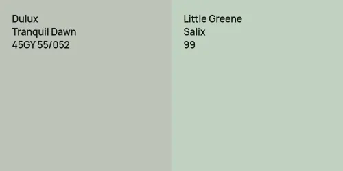 45GY 55/052 Tranquil Dawn vs 99 Salix