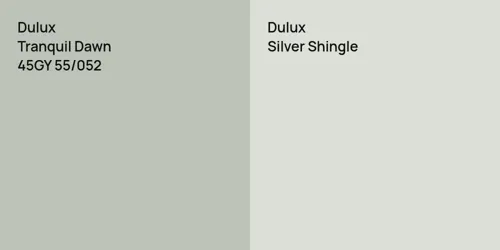 45GY 55/052 Tranquil Dawn vs null Silver Shingle