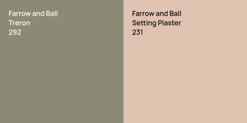 292 Treron vs 231 Setting Plaster