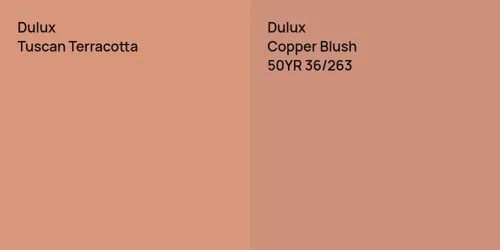 null Tuscan Terracotta vs 50YR 36/263 Copper Blush