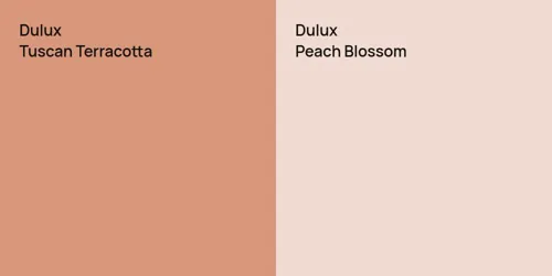 null Tuscan Terracotta vs null Peach Blossom