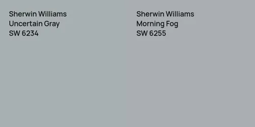 SW 6234 Uncertain Gray vs SW 6255 Morning Fog