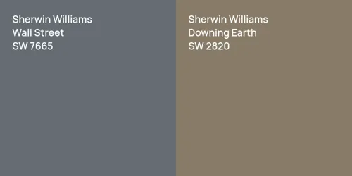 SW 7665 Wall Street vs SW 2820 Downing Earth