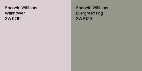 SW 6281 Wallflower vs SW 9130 Evergreen Fog