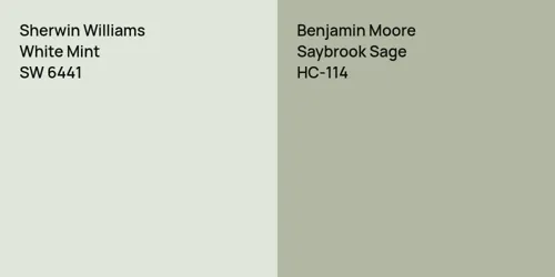 SW 6441 White Mint vs HC-114 Saybrook Sage