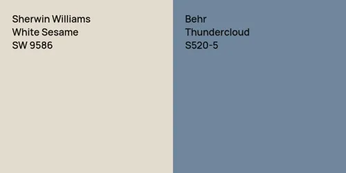 SW 9586 White Sesame vs S520-5 Thundercloud