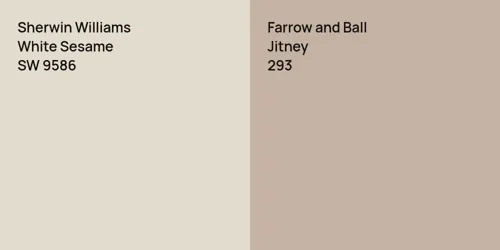 SW 9586 White Sesame vs 293 Jitney