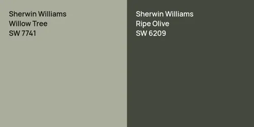 SW 7741 Willow Tree vs SW 6209 Ripe Olive