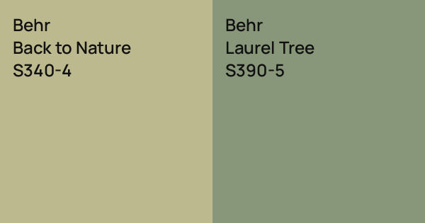 Behr Back to Nature vs. Behr Laurel Tree comparison