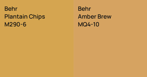 Behr Plantain Chips vs. Behr Amber Brew comparison