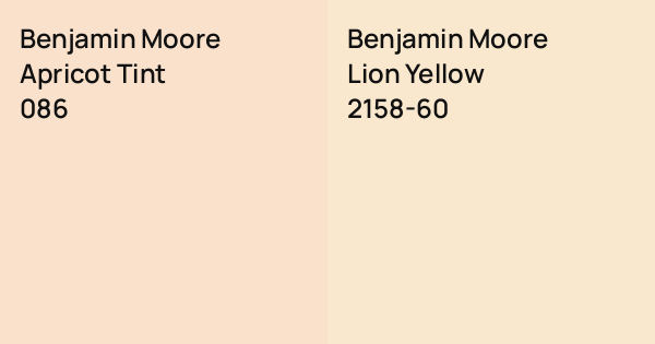 Benjamin Moore Apricot Tint vs. Benjamin Moore Lion Yellow comparison
