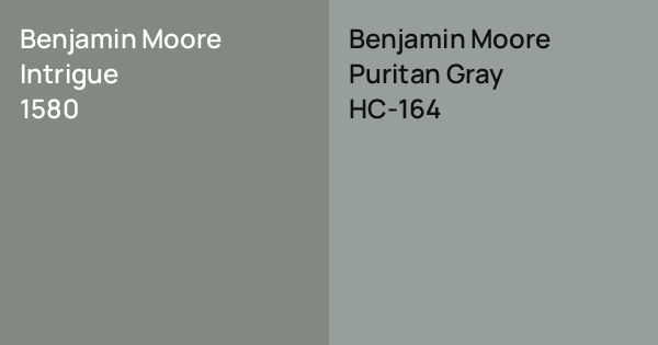 Benjamin Moore Intrigue vs. Benjamin Moore Puritan Gray comparison