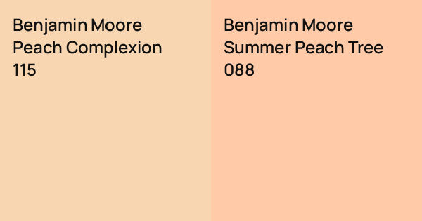 Benjamin Moore Peach Complexion vs. Benjamin Moore Summer Peach Tree ...