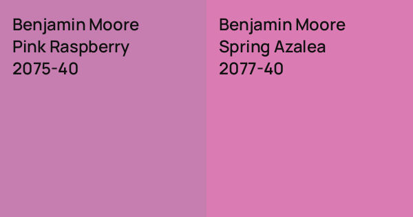 Benjamin Moore Pink Raspberry vs. Benjamin Moore Spring Azalea comparison